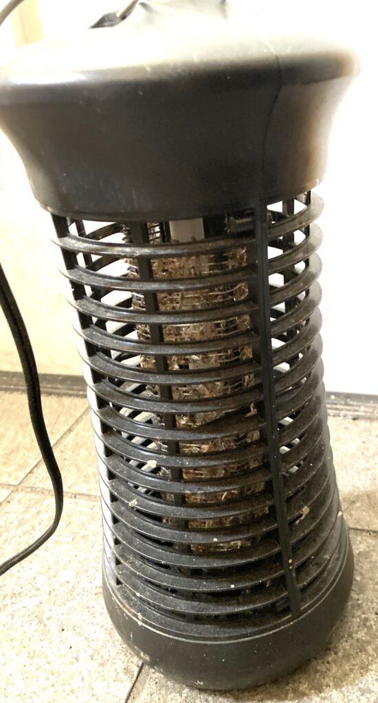 分解できない電撃殺虫灯の汚れた内部と清掃前の状態
💡 別パターン（もう少しキーワード強め）
電撃殺虫灯の掃除前の状態｜虫やホコリが溜まった内部の様子
👉 おすすめは上のどちらか
（記事タイトルに合わせて選