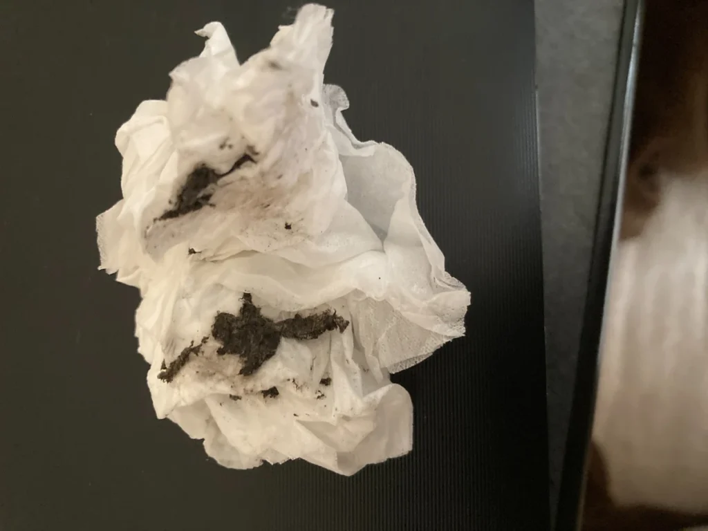 エアコン掃除で取れた黒いホコリ汚れをティッシュで拭き取った様子