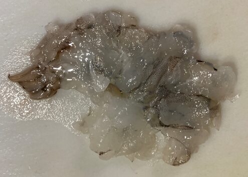 粗くつぶしたむきエビでプリッとした食感を残す状態