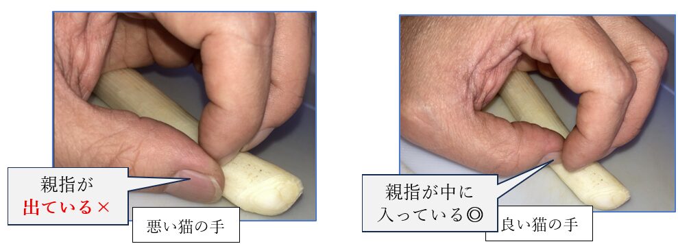 猫の手の良い例と悪い例を比較（親指が出ているNGと内側に入ったOKの手元）