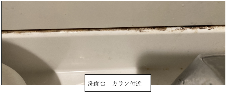 洗面台のカラン周辺に発生した黒カビと汚れの状態